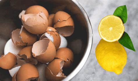 limon ve yumurta kabuğu kürü